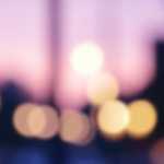 ①保険(Insurance)と保証(Warranty)の違いについて