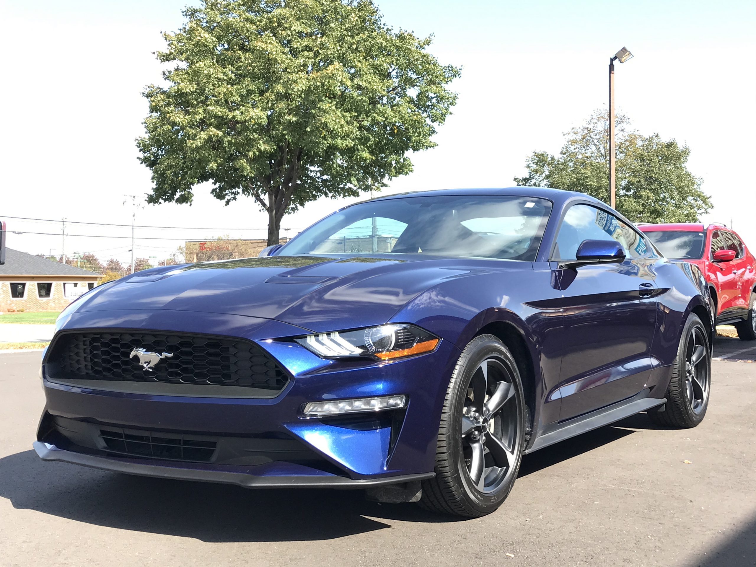 美品 Bacchus バッカス Mustang マスタング 紺色 ネイビー 新着車両紹介] 2017 Ford Mustang Fastback Ecoboost | ガリバーUSA